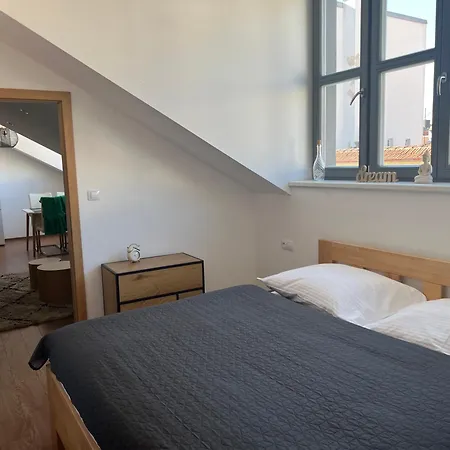 Aviatik Τσέσκε Μπουντεγιόβιτσε