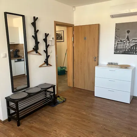 Aviatik Τσέσκε Μπουντεγιόβιτσε