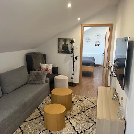 Aviatik Apartament Czeskie Budziejowice