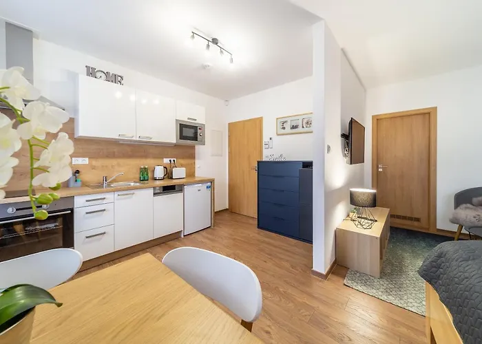 Aviatik Apartment Ceske Budejovice